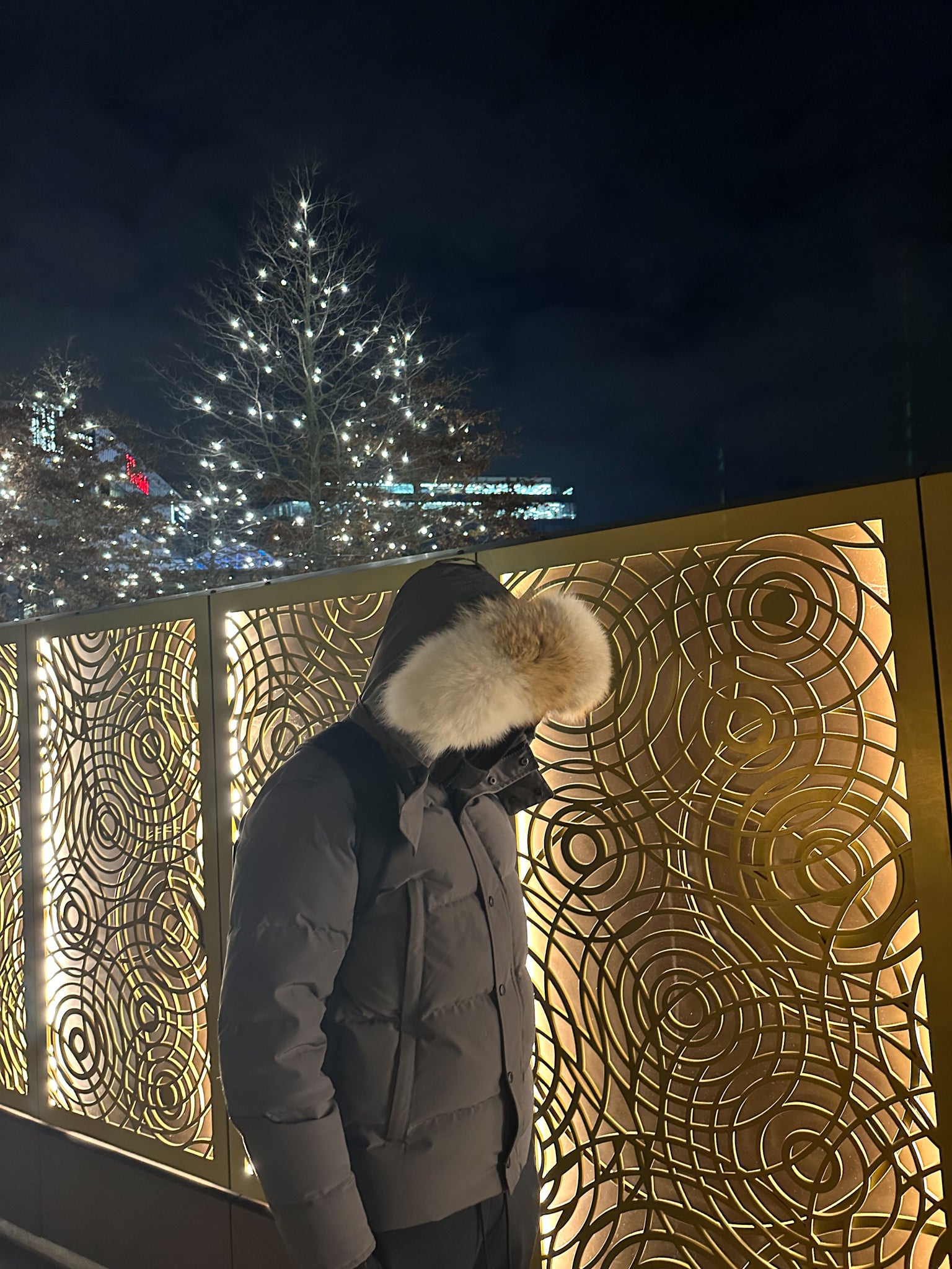 Man wearing grey Canada Goose Wyndham Parka with milk brown coyote fur hood replacement