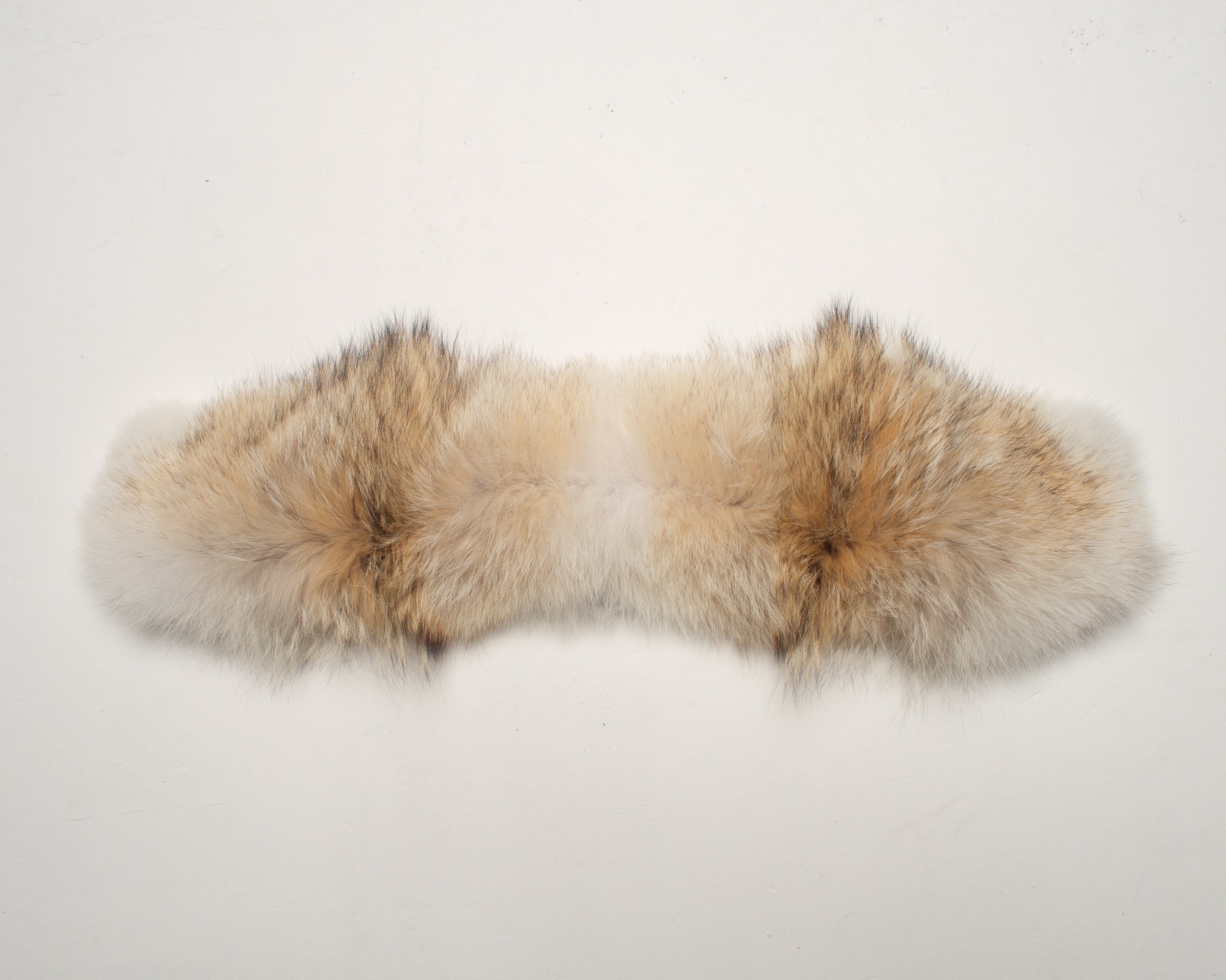 Canada Goose Coyote Fur Trim