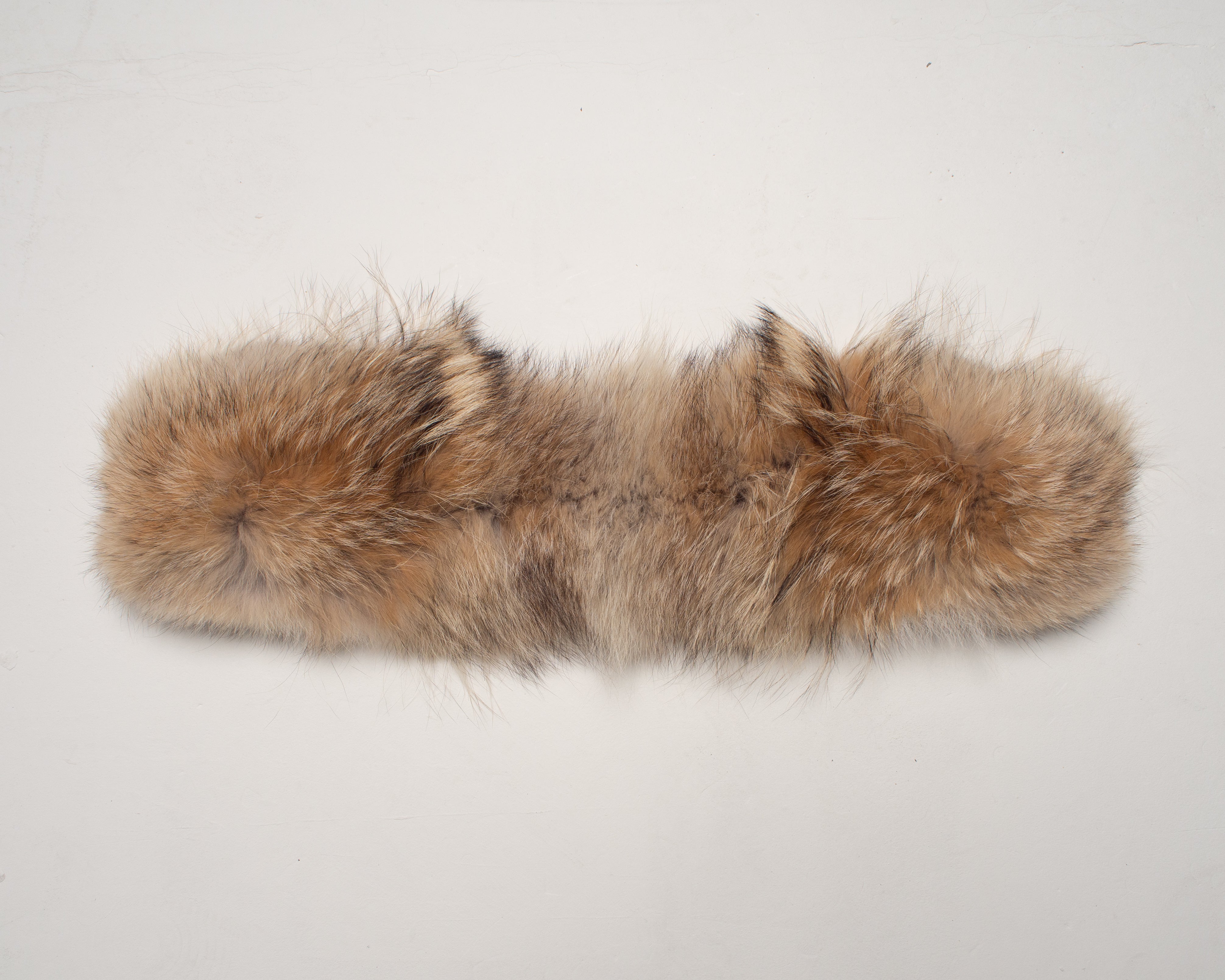 Canada Goose Coyote Fur Trim
