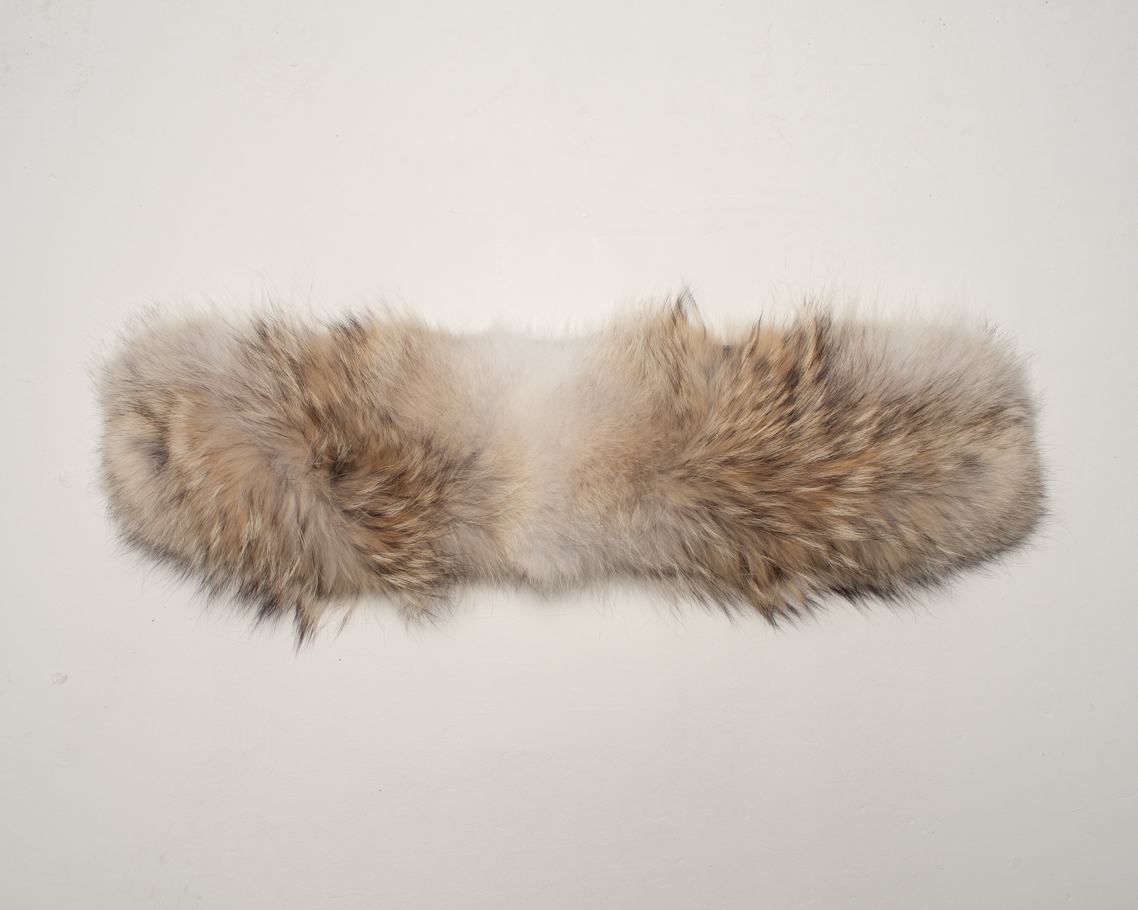 Canada Goose Coyote Fur Trim