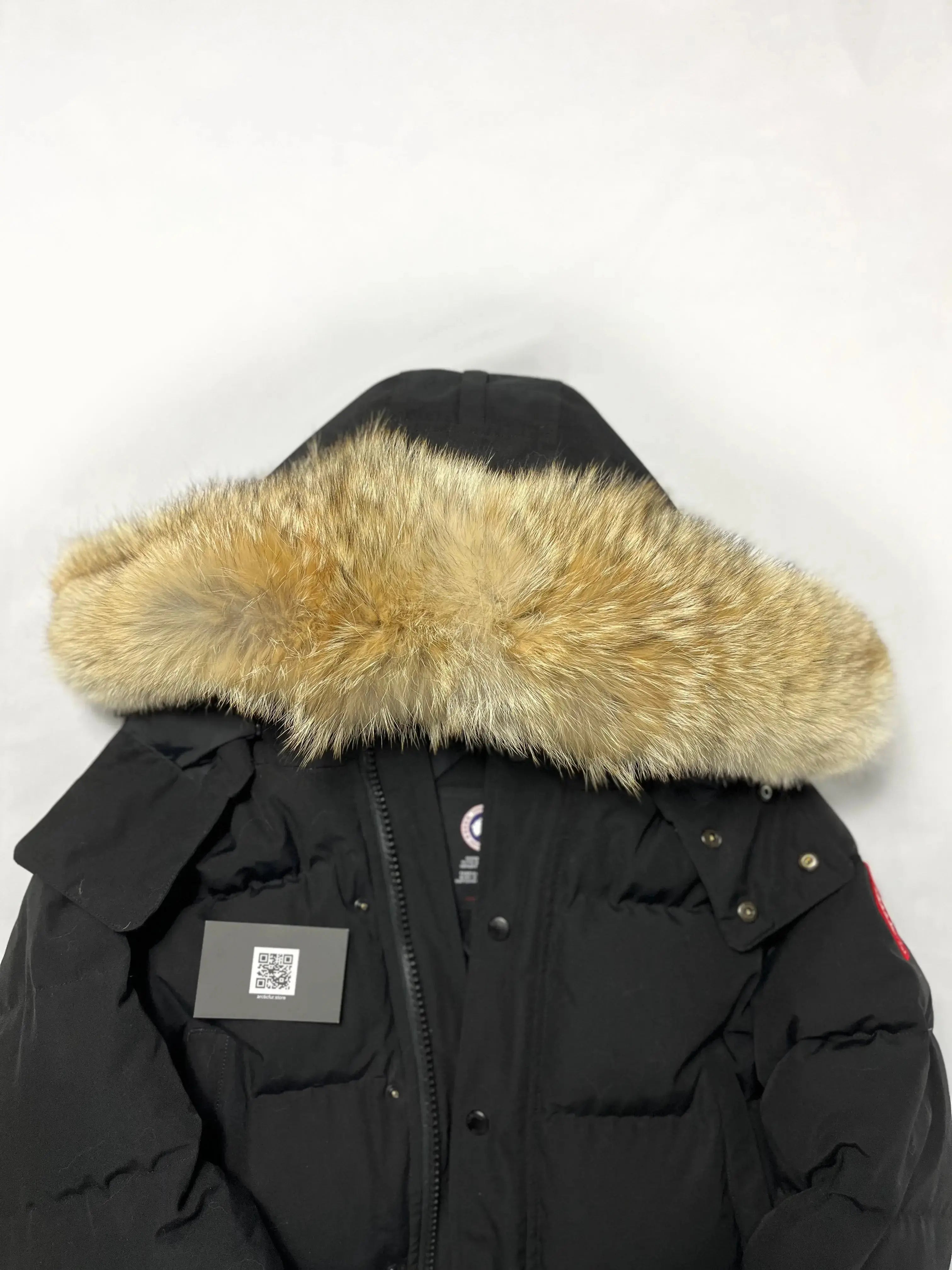 Large Gold-Brown Coyote Fur